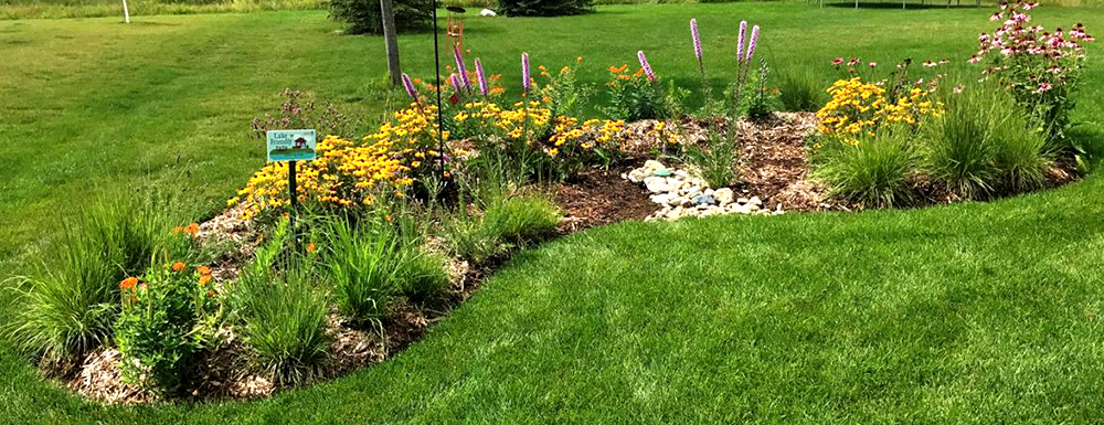 RAIN GARDEN