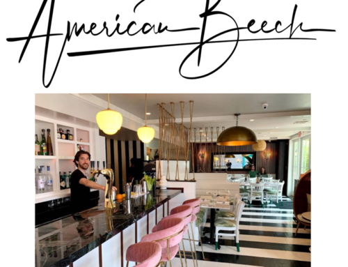 Dinner at American Beech